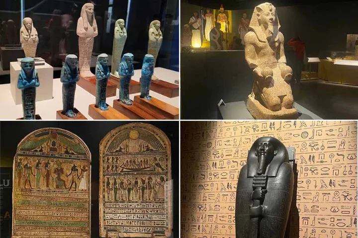 بازدید گروهی از موزه، آثار مصر و تاریخ مونترال